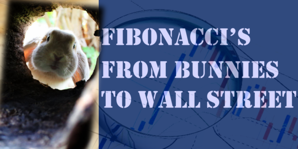 Cover Picture for Fibonacci Training Video